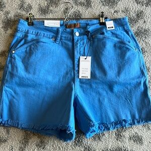 COPY - Judy Blue 2XL Blue Shorts